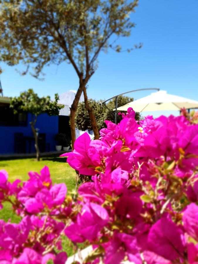 The First Real Bed & Breakfast Hiking Hotel 'The Office' In Arequipa, Peru Exterior photo